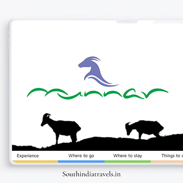 Southindia Tours and Travels providing you Tour Packages in Munnar.